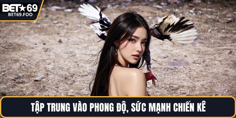 Tập trung vào phong độ, sức mạnh chiến kê