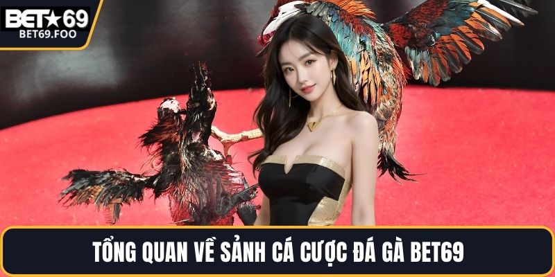 Tổng quan về sảnh cá cược đá gà BET69