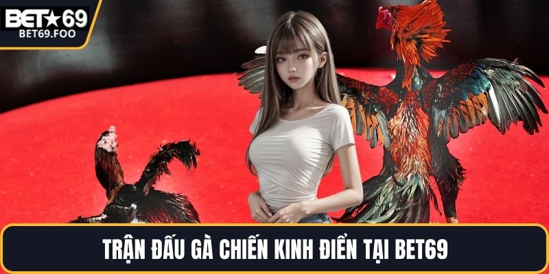 Trận đấu gà chiến kinh điển tại BET69